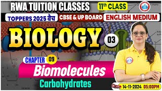 Class 11 Biology Chapter 9 Biomolecules  Carbohydrates  11th Biology Imp Topics [upl. by Enaywd338]