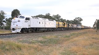 SSR Grain Train Cootamundra to Ardlethan [upl. by Osnofedli172]