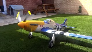 EFlite P51D Mustang LouIV 15m Setup and pilot paint [upl. by Nrubyar]