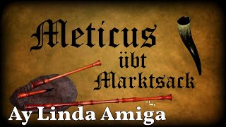 Meticus übt Marktsack Ay Linda Amiga Dudelsack Sackpfeife German Bagpipe [upl. by Enehpets479]