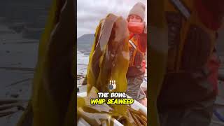 This seaweed looks very crunchy and crispy shortvideo shorts [upl. by Ofella]