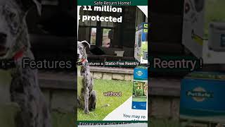 PetSafe Original Wireless Electric Fence A Game Changer for Pet Containment [upl. by Nihsfa]