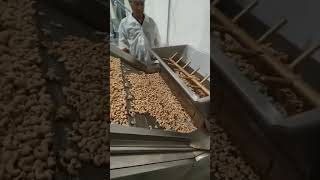 Cashew oven processing line foodextruder machine [upl. by Nnairda]