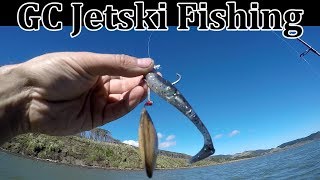 How to catch fish with softbaits Trevally on soft plastics swimbaits [upl. by Newmark174]