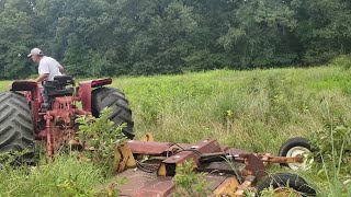 Mowing at my cousins place tractor farmall 1066 [upl. by Nagram]