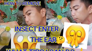 Tips Paano Matatanggal Ang Insekto Kapag Pumasok Sa Taenga 👂 Natin [upl. by Yelreveb527]