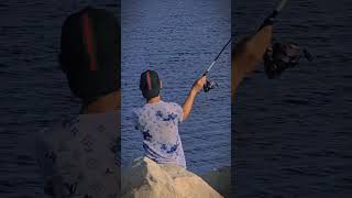 💖🐟💖🐟💖🐟💖 bizerte tunisia peche spiningfishing life [upl. by Jamieson]