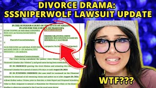 Whats Going On SSSniperwolf Lawsuit Update [upl. by Ititrefen]