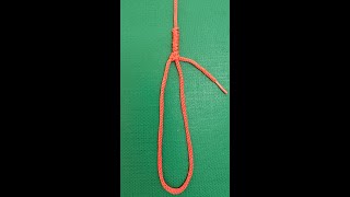 Reveal the Secret of the Bimini Twist Tie a Super Strong Loop for Fishing  tutorial how to [upl. by Ekusoyr34]