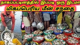 நாகப்பட்டினம் மீன் மார்க்கெட் 🎏🐟🐟🌊🌹👍 Nagapattinam fish market 🐟 India Tamil Nadu 🐟👍🌹 [upl. by Crocker]