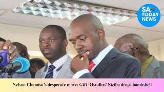 Nelson Chamisa’s desperate move Gift ‘Ostallos’ Siziba drops bombshell [upl. by Afesoj74]