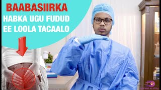 BAABASIIRKA IYO HABKA UGU FUDUD EE LOO DAAWEEYO Dr farisAlattas [upl. by Alleul220]