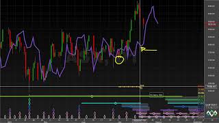 80Day Cycle Troughs  Hurst Cycles Market Update  22 July 2024 [upl. by Hairahcaz]