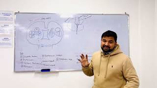 DR SHAHAB  USMLE lecture 9 part on nervous system [upl. by Ttezzil]