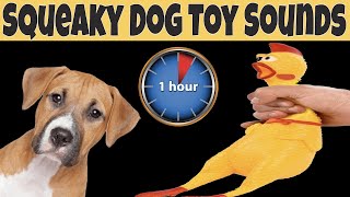 Squeaky Toy Dog Toy Sounds 1 Hour  DOG TOYS ONE HOUR [upl. by Currey]