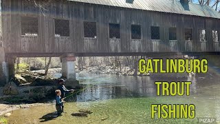 Trout Fishing in Gatlinburg Tennessee [upl. by Pussej934]