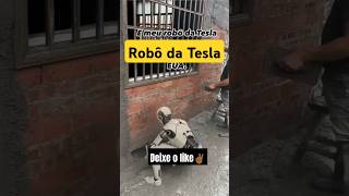 Robô da Tesla no Brasil [upl. by Ilajna]