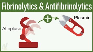 Fibrinolytics amp Antifibrinolytics Pharmacology [upl. by Terryn]