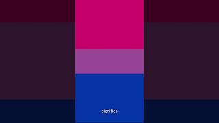 Learn about the Bisexual Flag LGBTQ [upl. by Acinad787]