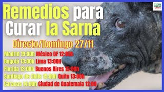 🚨 COMO CURAR LOS 6 TIPOS DE SARNA EN PERROS CON REMEDIOS CASEROS Y MEDICAMENTOS 🚨 [upl. by Irec]