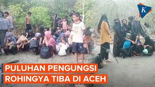 96 Pengungsi Rohingya Mendarat di Aceh Timur 6 Meninggal [upl. by Yojal94]