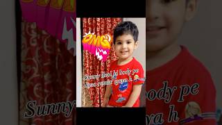 Arjan vailly song ka remix  sunny deol body  remix of argan vailly song [upl. by Tobie]