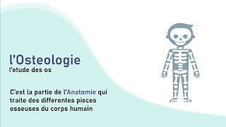 DrSkeleton  Introduction à lOsteologie humaine [upl. by Blasius]