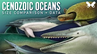 Aquatic animals of the Cenozoic Size comparison paleoart [upl. by Letizia]