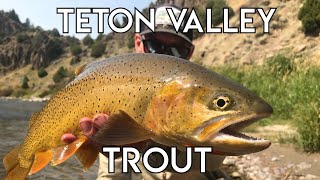 Teton Valley Trout  Ultimate Idaho Fly Fishing [upl. by Attennyl]