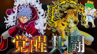 【ONE PIECE 1075話】侵入者は◯◯で確定！！因縁のルフィ＆ルッチ、ゾロ＆カクがまさかの共闘へ※考察ampネタバレ注意【やまちゃん。】 [upl. by Essilem]