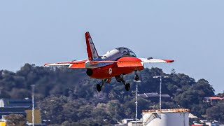 Incredible Rare SIAIMarchetti S211 Takeoff High Speed Pass and Landing at the Gold Coast [upl. by Ljoka]