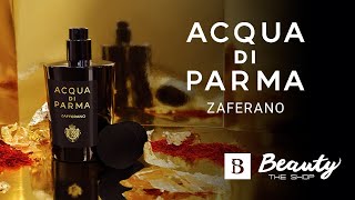 Acqua di Parmas Zafferano Fragrance A Bold Unexpected Blend [upl. by Dnamron]