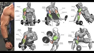 4 TOP EXS FOR BICEPS PROGRAM  PROGRAMME MUSCULATION BICEPS [upl. by Fowle]