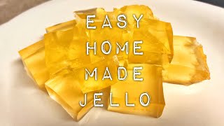 Homemade jello only 2 ingredients Kosher 👍🏻 [upl. by Ludwig]