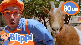 Blippi Fun on the Goat Farm  1 Hour of Blippi  Moonbug Kids  Farm Animals [upl. by Esadnac300]