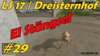 LS 17  Dreisternhof 29  El Stängsel [upl. by Eatnhoj368]