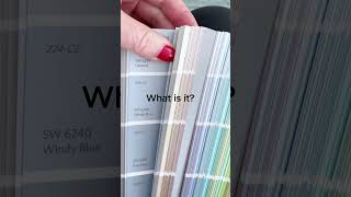 Sherwin Williams 2024 Paint Color of the Year [upl. by Ogaitnas]