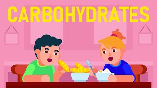 What are Carbohydrates What are its different Types [upl. by Aretina]