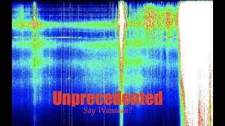 Incredible Schumann Resonance at 40 hertz  MAJOR frequency rise [upl. by Aehsan]