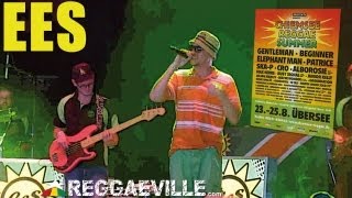 EES  Chiemsee Reggae Summer 2013 August 24th [upl. by Harriot]