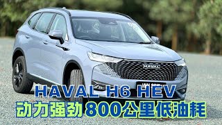 HAVAL H6 HEV动力强劲 800公里低油耗 [upl. by Jacquette171]