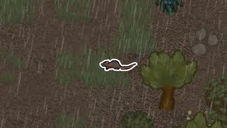 RimWorld  Nerf Rats pls [upl. by Anrapa]