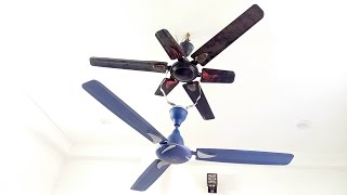 Fan Crompton XY100 ceiling fan experiment ‼️ Below down ceiling fans with random CF BLDC fan blade 💥 [upl. by Libyc]