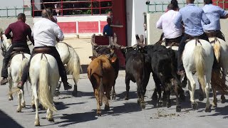 UCHAUD FESTIVAL DABRIVADE 14082018 [upl. by Elayor207]