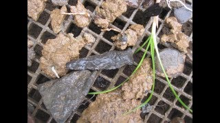 6232017 Black Kanawha Chert Drill Ohio Arrowhead Hunting [upl. by Rika156]