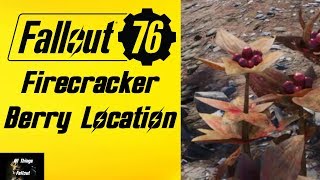 Fallout 76 Firecracker Berry Location [upl. by Bayless]