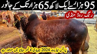 Ring Road Mandi Peshawar 2024  Cow Mandi 2024 peshawar  Maveshi Mandi  Qurbani janwar 2024 [upl. by Grose]