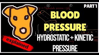 Hemodynamics Blood pressure Hydrostatic and Kinetic pressure [upl. by Alanna28]