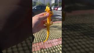 3D printed crystallized golden dragontoy [upl. by Roda]