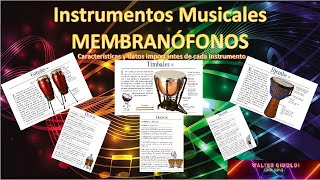 🥁INSTRUMENTOS MUSICALES 🥁​Membranófonos🥁 [upl. by Joli]